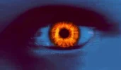 Auge-blau+orange.jpg