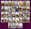 lenormand.jpg