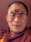 Dalai_Lama_Brille.jpg