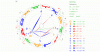 Trondheim koch.gif