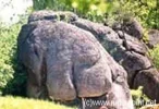 elefantenstein.jpg