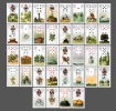 lenormand_16-11-2008.jpg