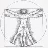 Vitruvian