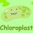 Chloroplast