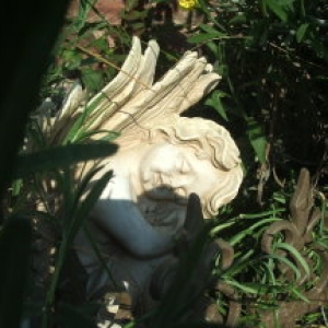 Trumender Engel im Garten