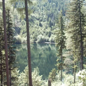 Waldsee/Salzburg