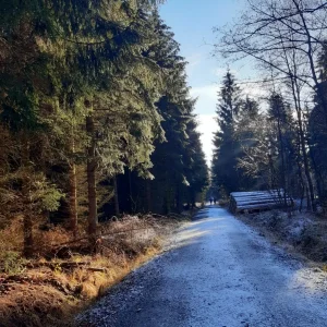 Winter in der Heide 2