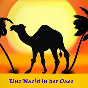 TommyG-Eine Nacht in der Oase