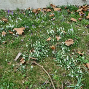 oh yeah, Frühling steht vor der Tür. 😍🥰