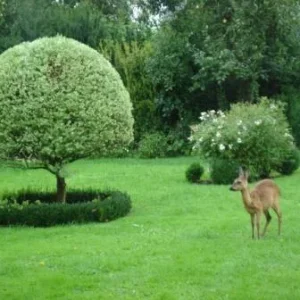 Besuch im Garten