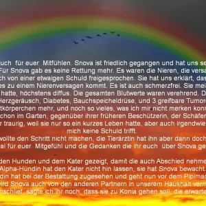 Regenbogen