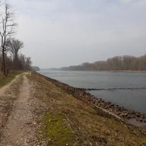 Rhein