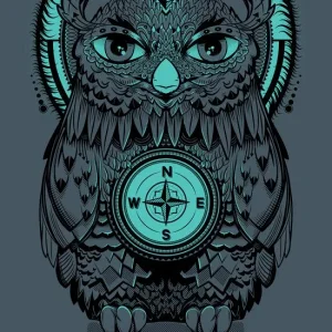 5edc629fd402d404e2d88d5d33a7037f--owls