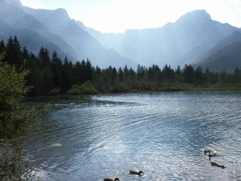 Am Almsee