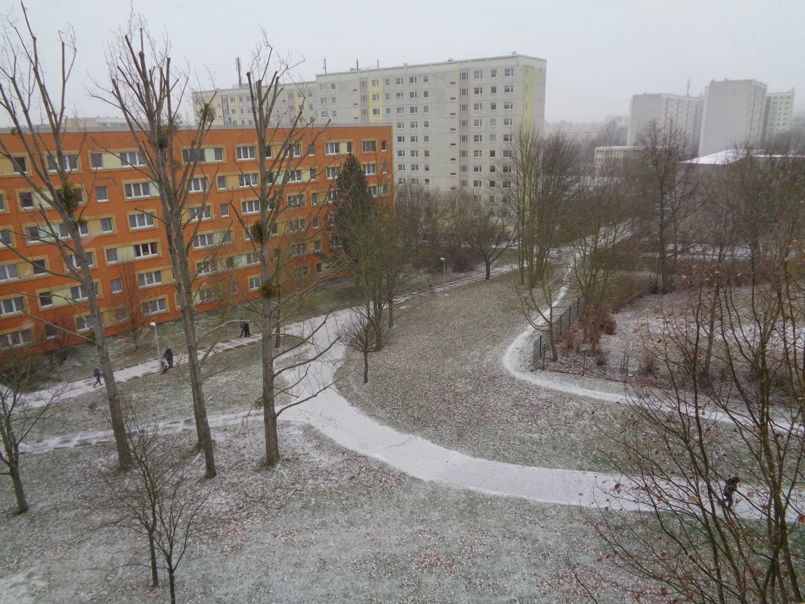 Die ersten Schneeflocken dieses Jahr ...