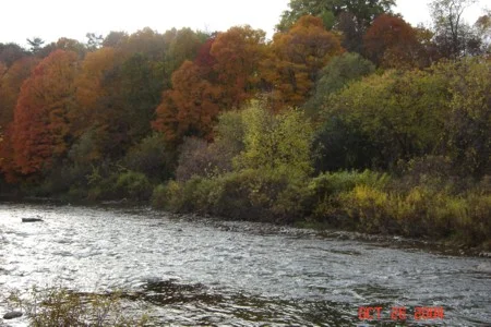 Erindale Park, Mississauga,Ontario