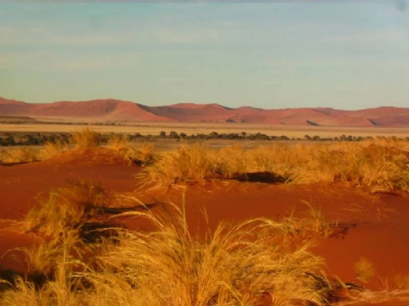 Gateway Namib