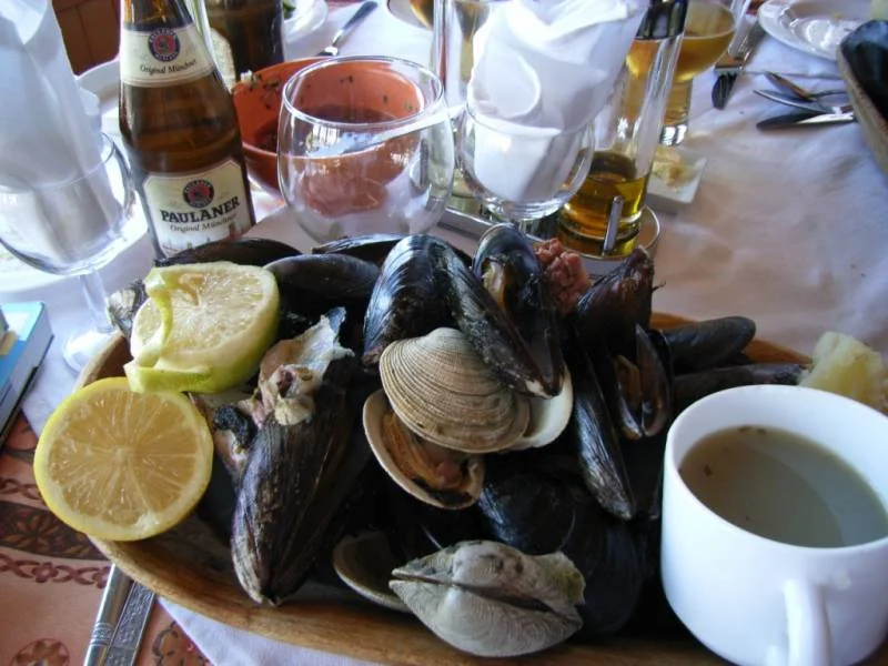 Muscheln auf Chiloe