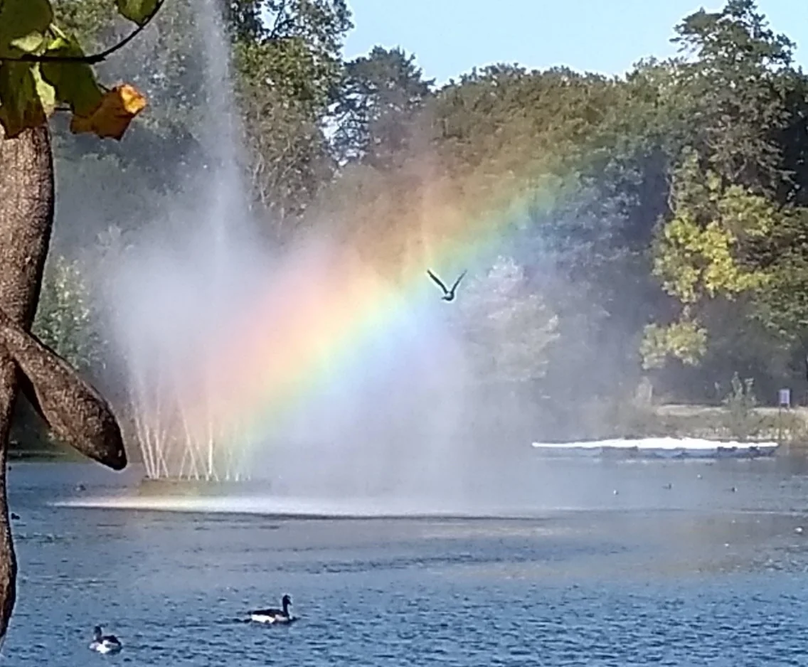 regenbogen