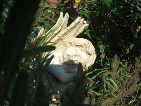 Trumender Engel im Garten