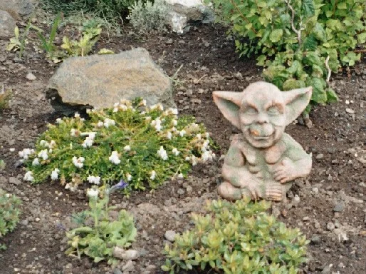 Yoda in Schottland