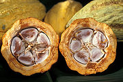 180px-Cacao-pod-k4636-14.jpg