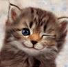 avatars-cat-695074.gif