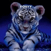 avatars-tiger-025273.gif