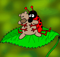 animiertes-insekten-bild-0069.gif