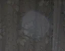 IM000020(1).webp