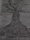 DSC00310.webp