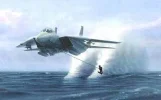 surfen!!!!!!!!!.webp