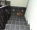 Pluto_im_Treppenhaus...webp
