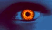 Auge-blau+orange.webp