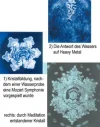 emoto2.jpg