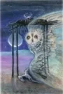 XIII Transformation.webp