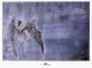512530 royo 12.webp