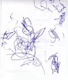 File0013.webp