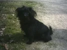 Daisy kl..webp