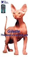 gillette.webp