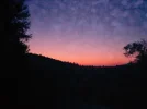 waldv.webp