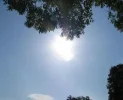 sonne.webp