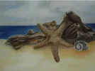 Holz1,5.webp