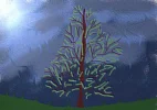 baum.webp