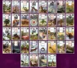lenormand_montag.webp