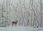 optical_illusion_8.webp