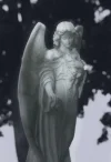 angel 1.webp