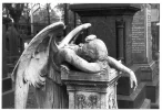 angel2.webp