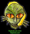 reptoidscom_4web.webp
