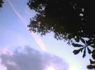 K.J.013.webp